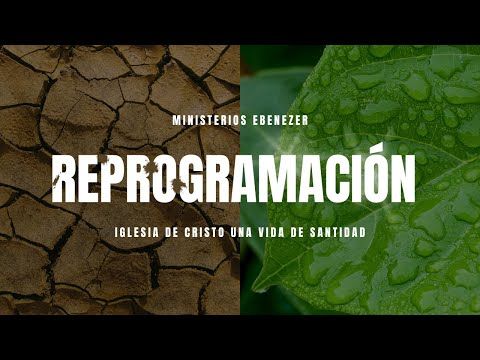 Reprogramación | Domingo, Abril 19 | Iglesia de Cristo una Vida de Santidad